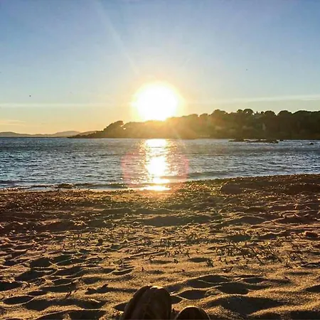 Apartment 1 Bedroom Gorgeous In Saint-raphael